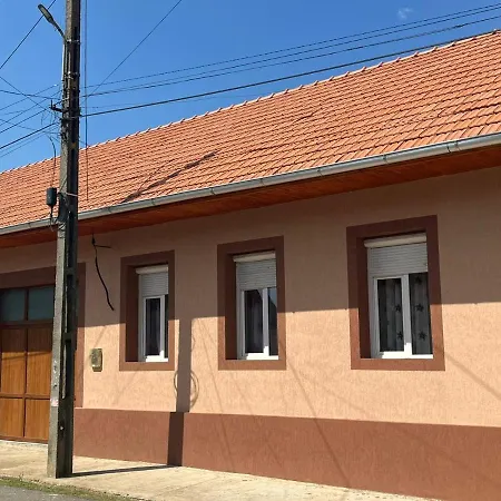 Guest house Pensiunea La Nety