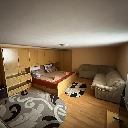 Guest house Pensiunea La Nety *