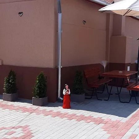 Guest house Pensiunea La Nety